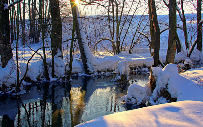 Обои картинки фото природа, реки, озера, деревья, снег, река