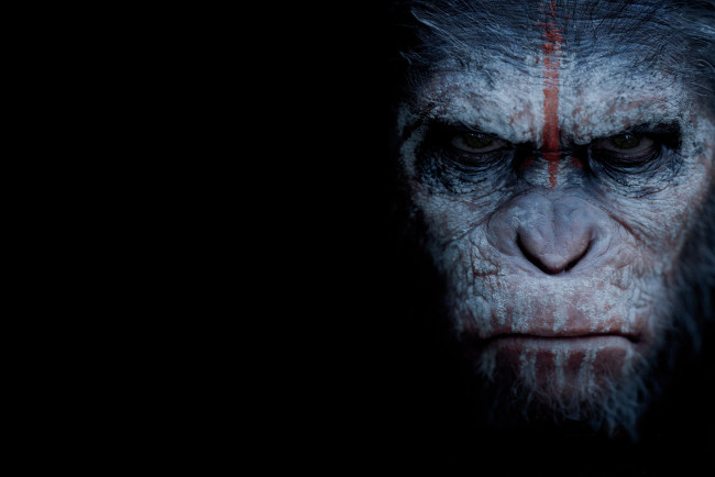 Обои картинки фото dawn of the planet of the apes, кино фильмы, революция, планета, обезьян