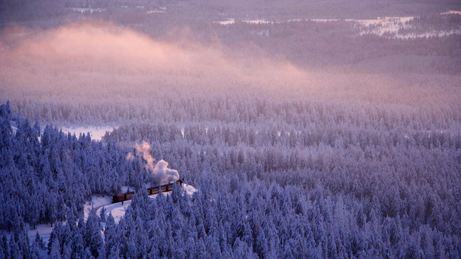 Обои картинки фото техника, паровозы, лес, дорога, зима, германия, саксония-анхальт
