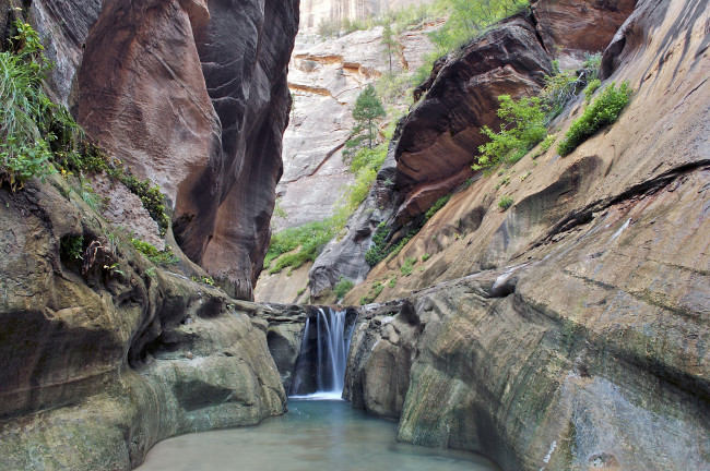 Обои картинки фото природа, водопады, водопад, ущелье, деревья, каньон, река, камни, скалы, сша, юта, zion, national, park