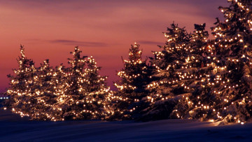 Картинка праздничные Ёлки гирлянды елки снег