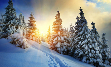 Картинка природа зима солнце деревья горы снег лес облака карпаты следы