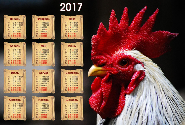 Обои картинки фото календари, животные, петух