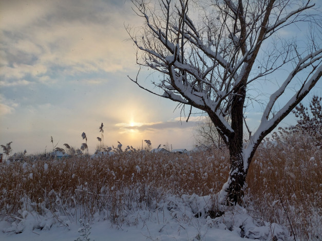 Обои картинки фото природа, восходы, закаты, зима, снег