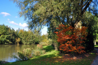 Картинка природа реки озера осень деревья берег река