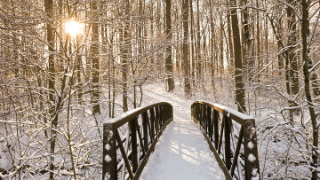 Картинка природа зима лес снег мост