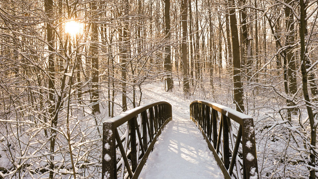 Обои картинки фото природа, зима, лес, снег, мост