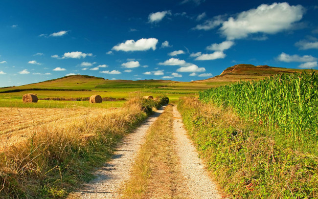 Обои картинки фото природа, дороги, кукуруза, сено, голубое, небо, горизонт, простор, поле, стог
