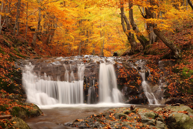 Обои картинки фото природа, водопады, водопад, деревья, листва, осень