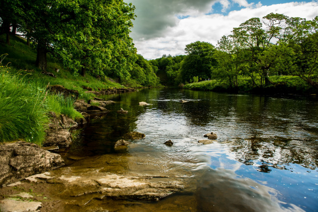 Обои картинки фото англия, bolton, river, wharfe, природа, реки, озера, деревья, река