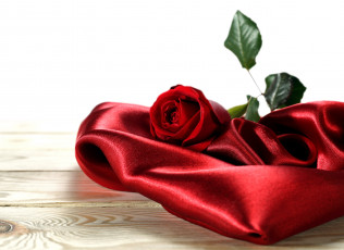 Картинка цветы розы алый бутон шелк