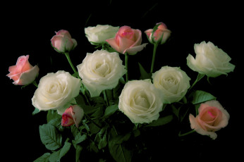 Картинка цветы букеты +композиции розы