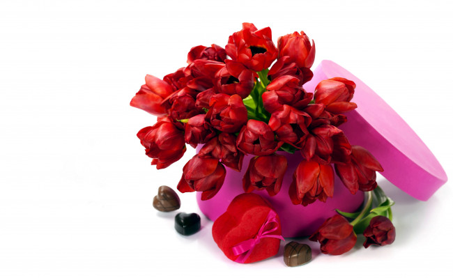 Обои картинки фото цветы, тюльпаны, розовый, красный, конфеты