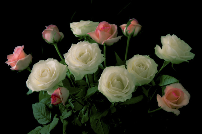 Обои картинки фото цветы, букеты,  композиции, розы