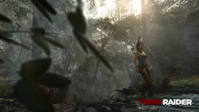 Обои картинки фото видео игры, tomb raider 2013, джунгли, крофт