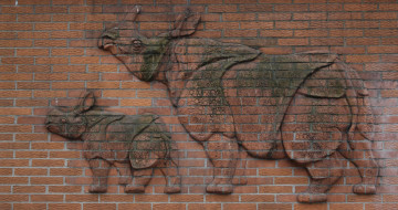 Картинка разное -+другое носороги кирпич стена