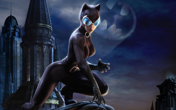 Картинка catwoman рисованное комиксы крыша женщина кошка поза