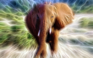 Картинка разное компьютерный+дизайн слон