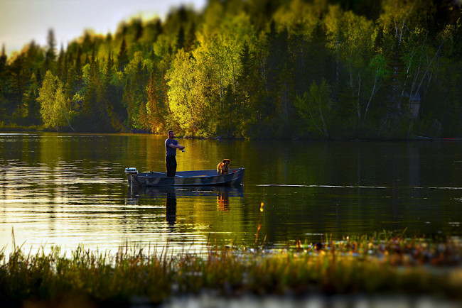 Обои картинки фото разное, рыбалка,  рыбаки,  улов,  снасти, удочка, рыбак, лодка, река, собака