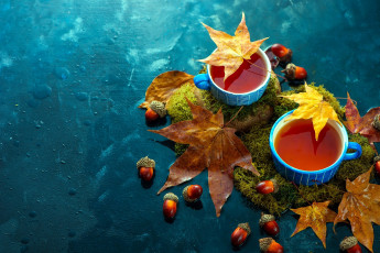 обоя еда, напитки,  Чай, осень, чай, листья