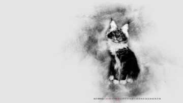 Картинка календари компьютерный+дизайн животное кошка