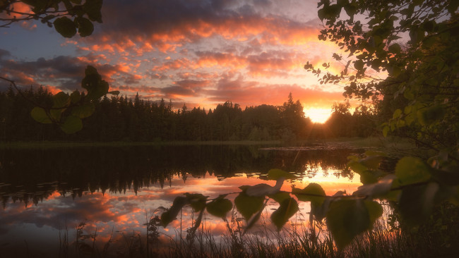 Обои картинки фото природа, реки, озера, закат, река, солнце, ветвь, листья, красота