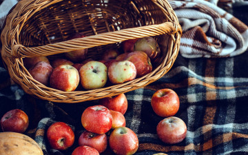 обоя еда, яблоки, корзинка, урожай