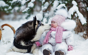 Картинка разное дети ребенок собака снег
