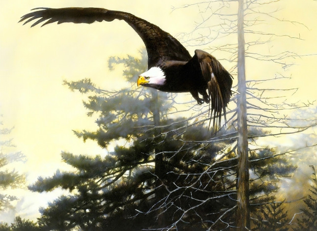 Обои картинки фото рисованное, животные,  птицы,  орлы, орел, полет, деревья