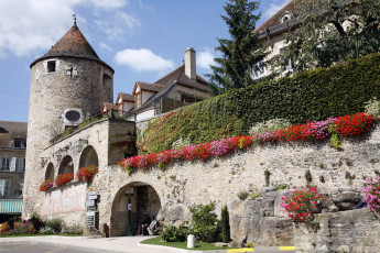 Картинка города дворцы замки крепости башня ворота стена цветы