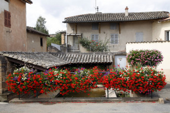 Картинка разное сооружения постройки дома цветы