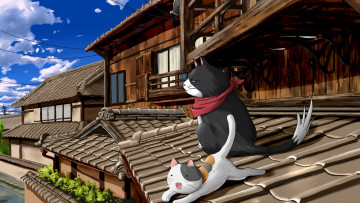 обоя аниме, nyankoi, кошки, крыша, дом