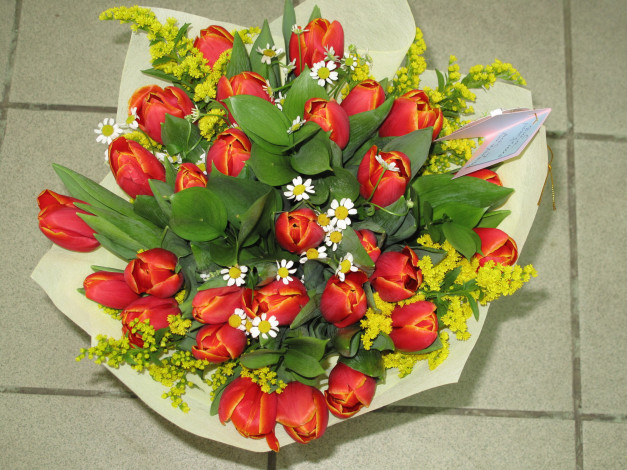 Обои картинки фото цветы, букеты, композиции, букет, тюльпаны