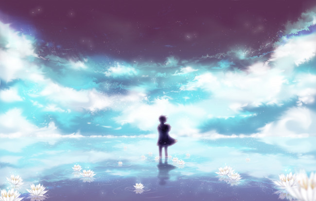 Обои картинки фото аниме, dyurarara, небо, силуэт, парень, орихара, изая, звёзды, облака, вода, цветы, водяные, лилии