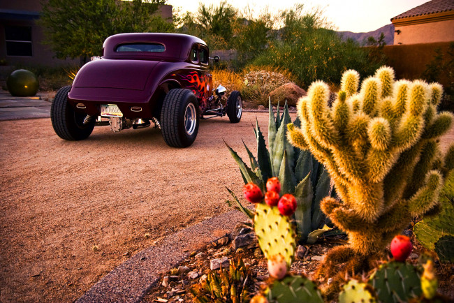 Обои картинки фото ford coupe 1933 hot-rod, автомобили, hotrod, dragster, ford, кактус, цветы, клумба, вечер, купе, форд, 1933, хот-род, hot-rod, coupe