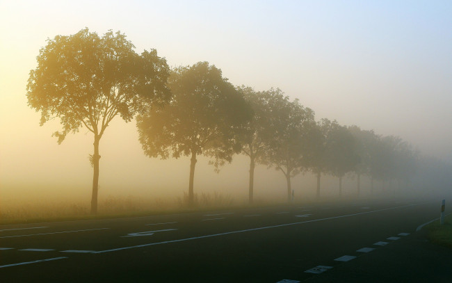Обои картинки фото природа, дороги, дорога, деревья, туман, утро