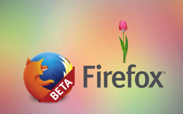 Картинка компьютеры mozilla+firefox лепестки фон цветы тюльпаны логотип