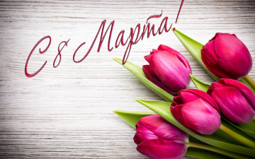 обоя праздничные, международный женский день - 8 марта, тюльпаны, цветы, 8, марта