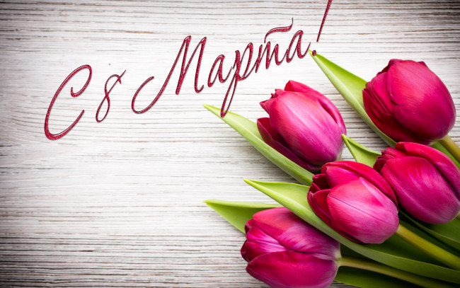 Обои картинки фото праздничные, международный женский день - 8 марта, тюльпаны, цветы, 8, марта