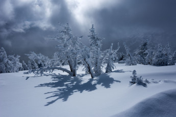 Картинка природа зима горы пейзаж тучи тени снег деревья
