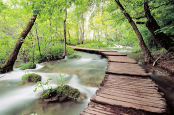 Картинка природа реки озера дорожка камни река лес