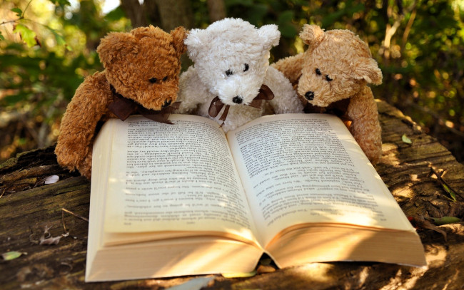 Обои картинки фото разное, игрушки, мишки, книга