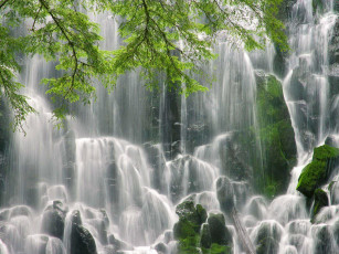 обоя водопад, рамона, природа, водопады, оригон, ветви, камни, мох
