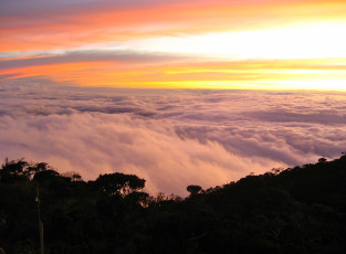 Картинка природа облака высота лес закат