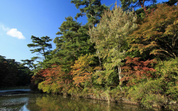 Картинка природа лес осень деревья река