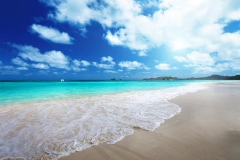 Картинка природа побережье песок пляж лето
