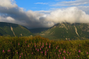 Картинка природа горы луг облака