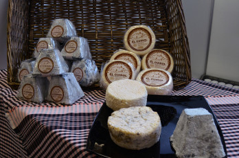 Картинка formatges+cuirols еда сырные+изделия сыр