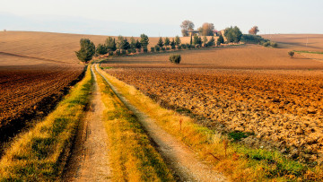 Картинка природа дороги поле небо италия дом деревья дорога