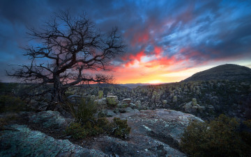 Картинка природа восходы закаты дерево горы утро